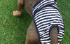 Stripey Puppy Nappy