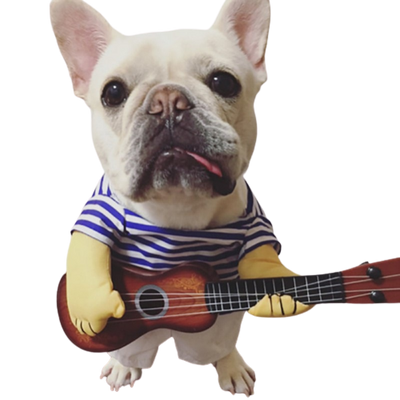 Strummin' Busker Pup Costume