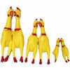 Classic Rubber Chicken Squeaker