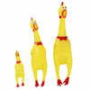 Classic Rubber Chicken Squeaker