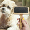 A rectangular pet brush made of bamboo shows metal pin bristles on a black base. A hand is holding the brush in front of a white poodle in the background.
