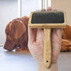 A rectangular pet brush made of bamboo shows metal pin bristles on a black base. A hand is holding the brush in front of a brown dachschund dog laying down in the background.