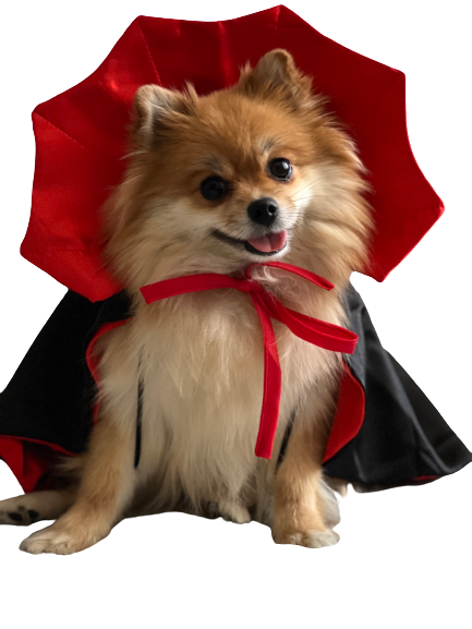 Spooky Vampire Pupper Cape