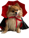 Spooky Vampire Pupper Cape