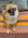 Vintage Vibe Pup Shades