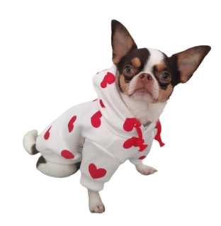 Valentine Hearts Pup Hoody