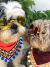 Vintage Vibe Pup Shades