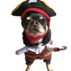 Hornswaggling Pirate Pup Costume