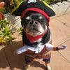 Hornswaggling Pirate Pup Costume