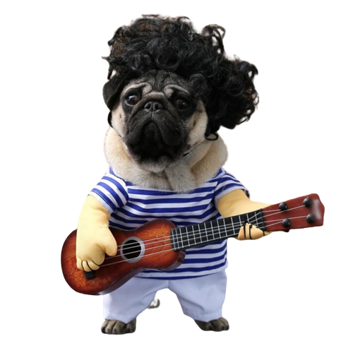 Strummin' Busker Pup Costume