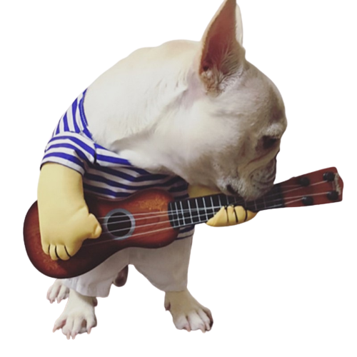 Strummin' Busker Pup Costume