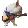 Strummin' Busker Pup Costume