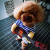 Strummin' Busker Pup Costume