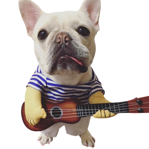 Strummin' Busker Pup Costume