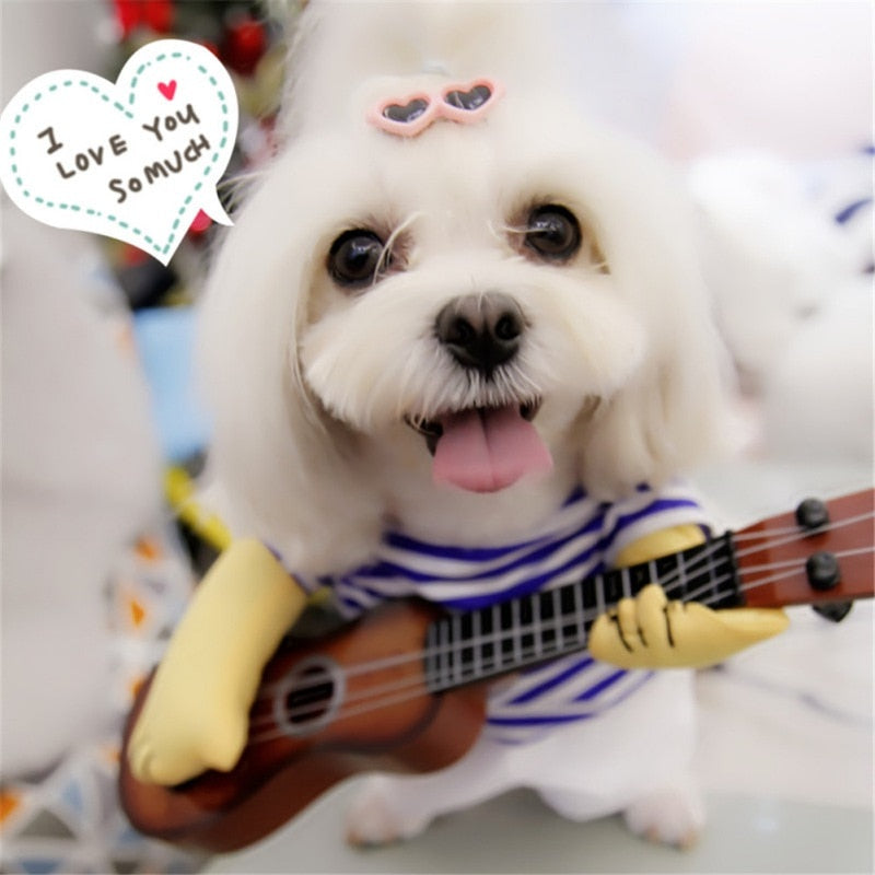 Strummin' Busker Pup Costume