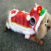 Dragon Dance Pup Costume