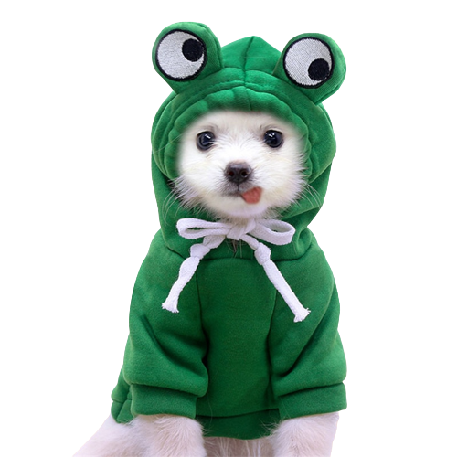 Fanciful Froggy Pup Hoody