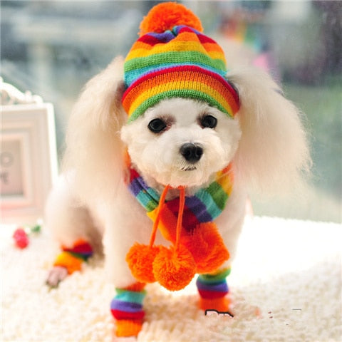 Pride Puppy Warm Winter Set