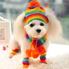 Pride Puppy Warm Winter Set