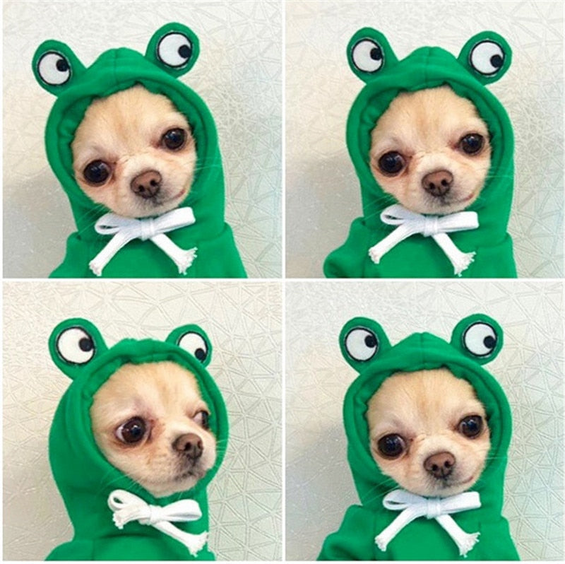 Fanciful Froggy Pup Hoody