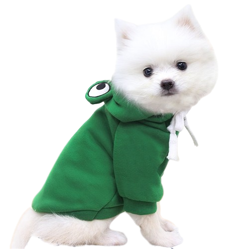 Fanciful Froggy Pup Hoody