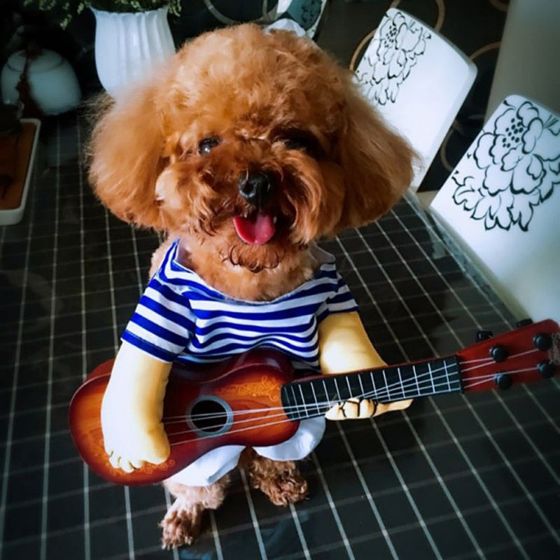 Strummin' Busker Pup Costume