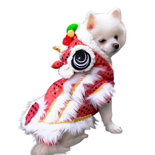 Dragon Dance Pup Costume