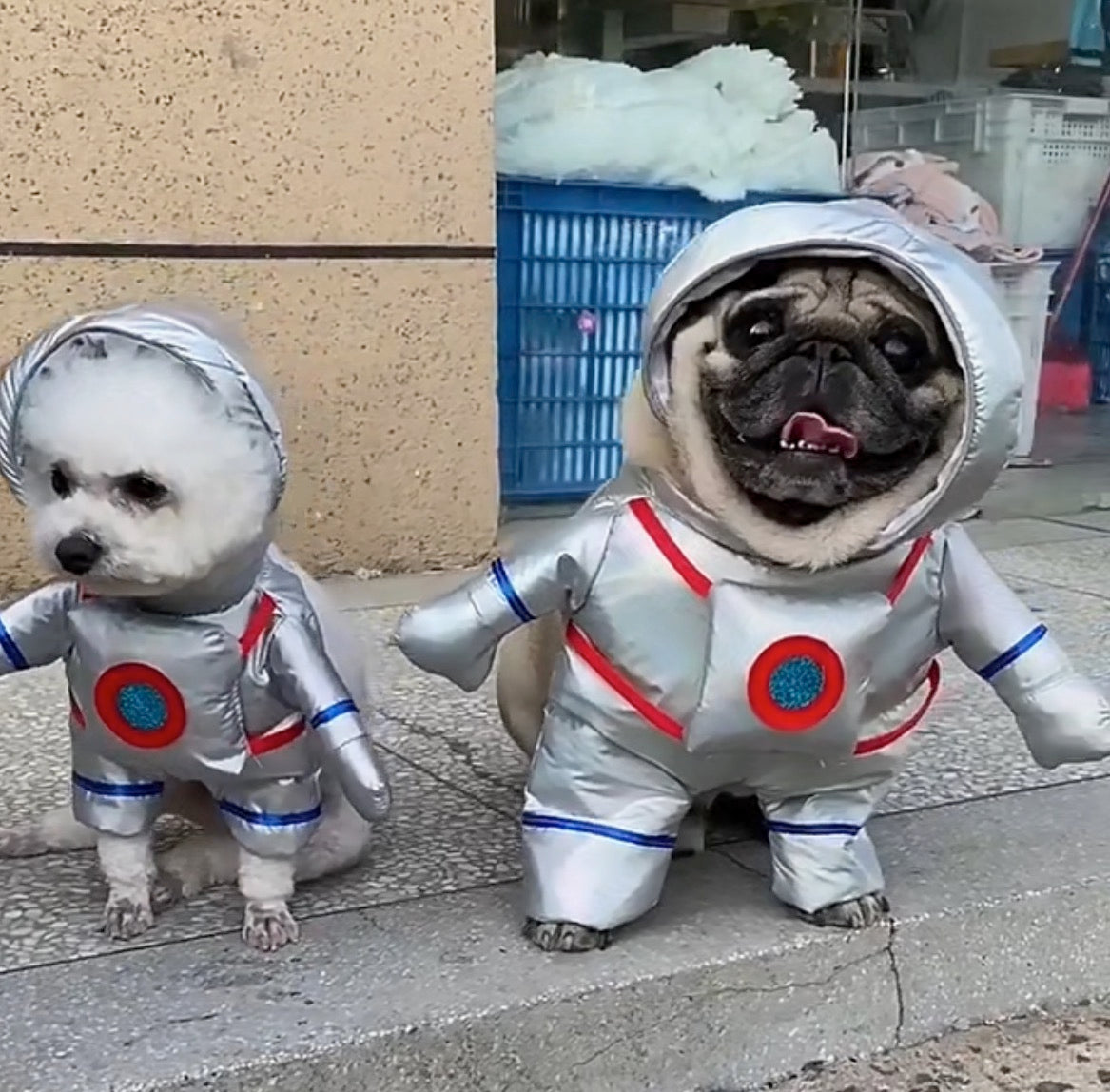 Interstellar Puppernaut Costume