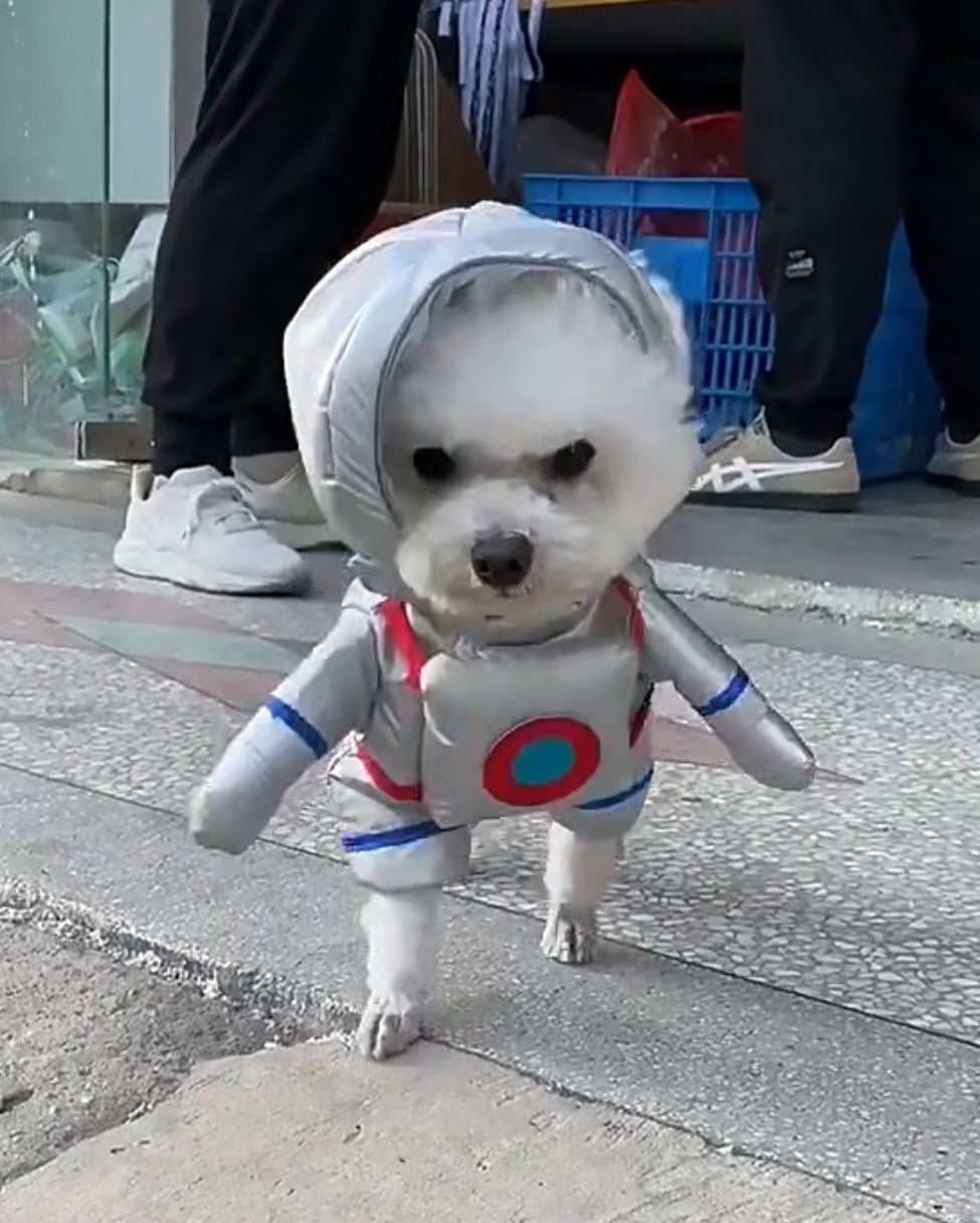 Interstellar Puppernaut Costume