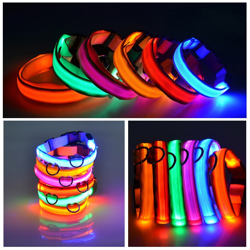 Flashing LED Pup Collar