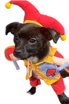 Jovial Jester Pup Costume