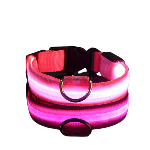 Flashing LED Pup Collar