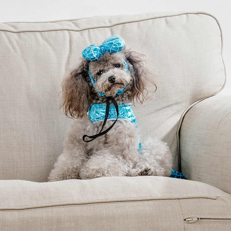 Merry Mer-Puppy Costume