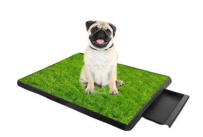 Indoor Grassy Pup Potty