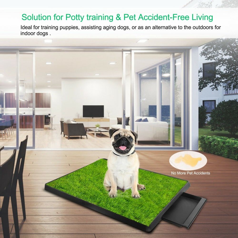 Indoor Grassy Pup Potty