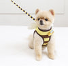 Honey Bee Harness & Leash Set