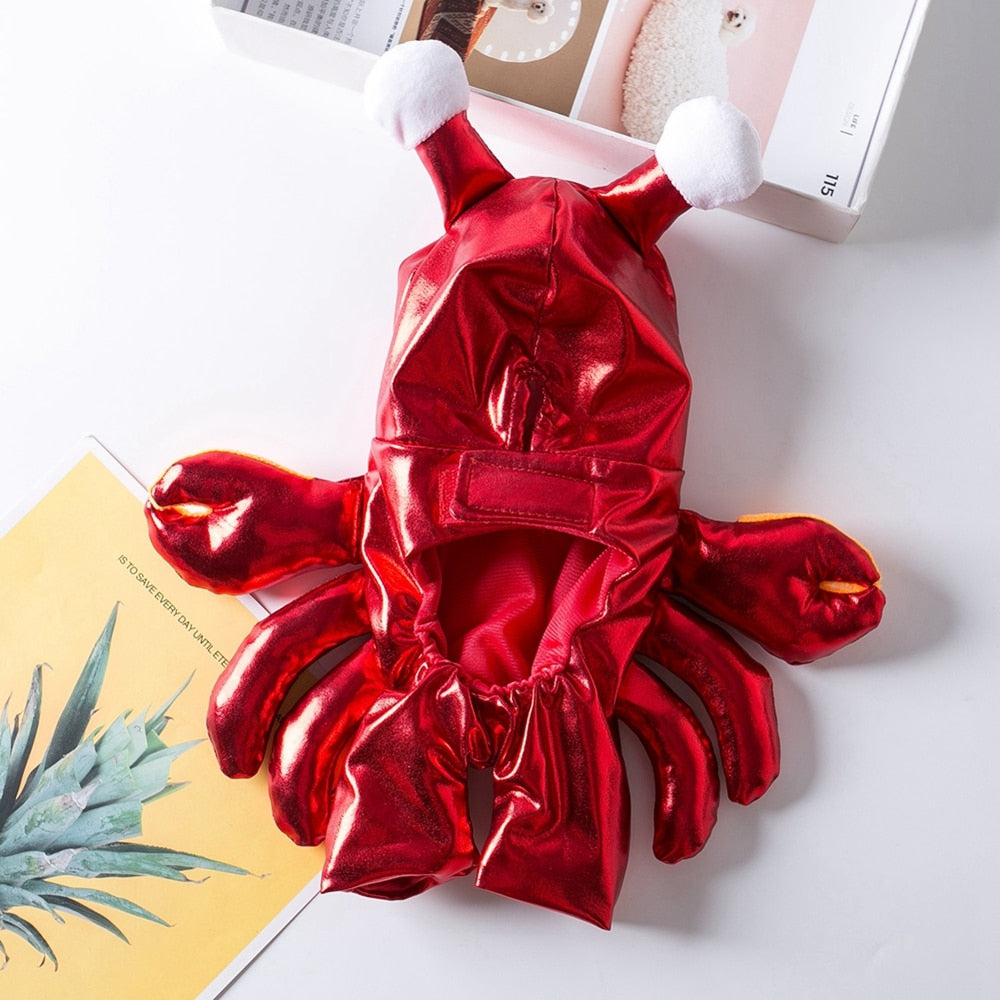 Crabby Puppy Costume