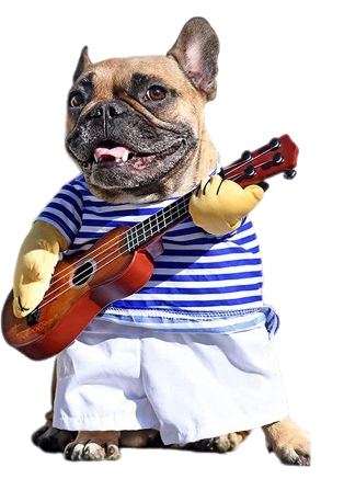 Strummin' Busker Pup Costume