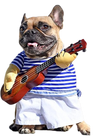 Strummin' Busker Pup Costume