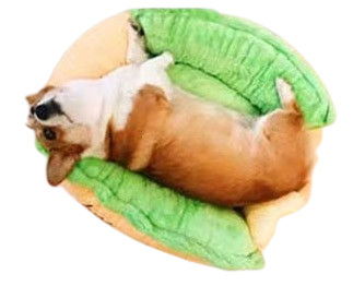 Hot Diggity Dog Bed