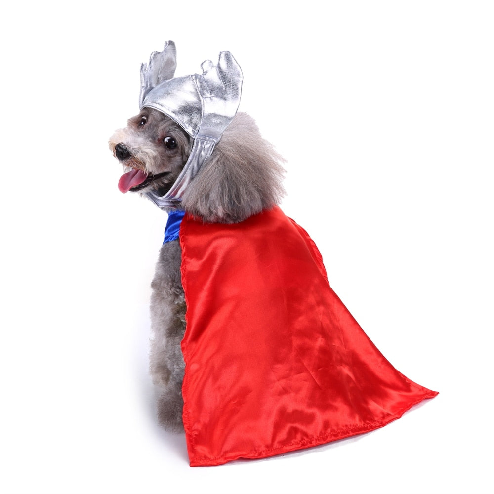 Thunderous Thor Pup Costume