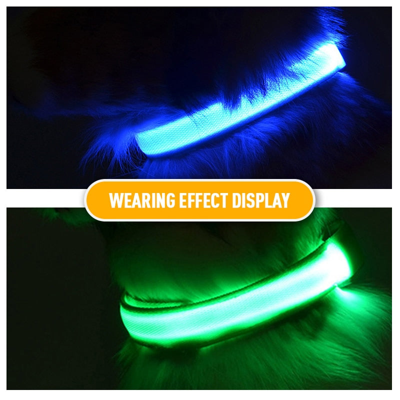 Flashing LED Pup Collar