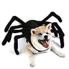 Spooky Spider Pup Costume