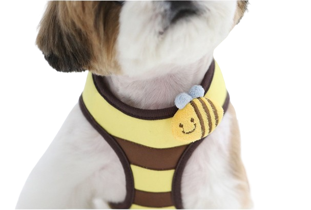 Honey Bee Harness & Leash Set