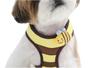 Honey Bee Harness & Leash Set