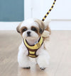 Honey Bee Harness & Leash Set