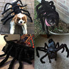 Spooky Spider Pup Costume