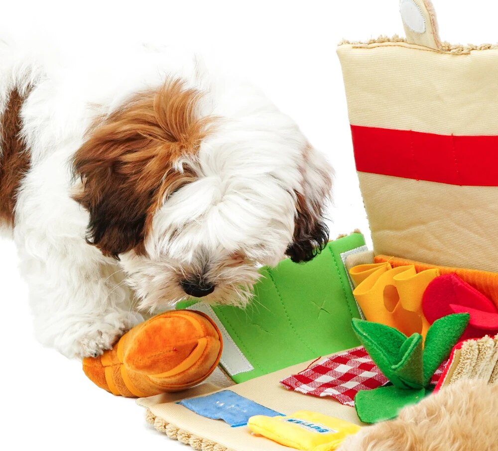 Pupnic Picnic Snuffle Mat