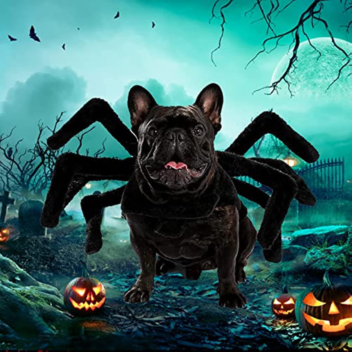 Spooky Spider Pup Costume