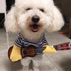 Strummin' Busker Pup Costume